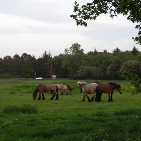 Quartier Hohe Geest 15 - Nordseebrise *